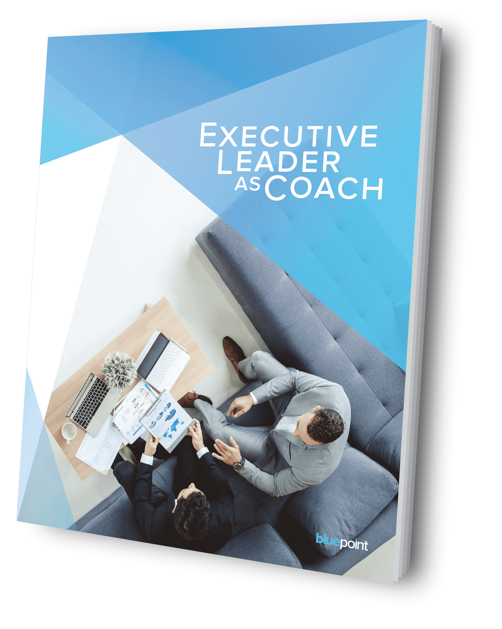 Executive Leader As Coach